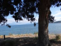 Lake Taupo, der größte See Neuseelands mit 600 km²