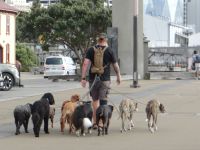 Wellington, da staunten nicht nur wir.