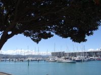 Wellington, anstatt ins Auto vor der Haustür geht es gleich aufs Boot.