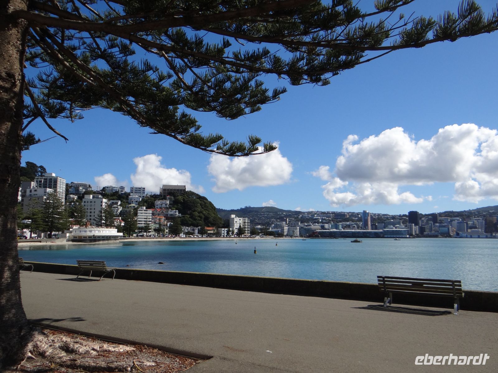 Wellington, Oriental Parade, Blick zurück auf die Stadt