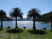 Picton und seine wie arrangiert wirkende Promenade