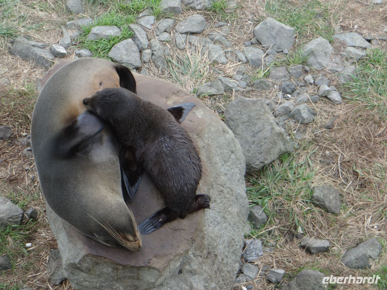 Nicht jeder planscht. So ist es auch schön. 