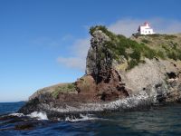 Dunedin, Tiersafari, auf diesem Fels leben die Albatrosse.