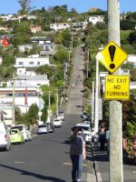 Dunedin, die steilste Straße der Welt. Kein Ausgang, kein Platz zum Drehen, also rückwärts wieder runter.