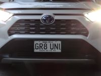 Dunedin, Autokennzeichen können auch was ausdrücken: Great University