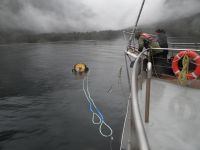 Milford Sound, das Schiff geht für die Nacht vor Anker.