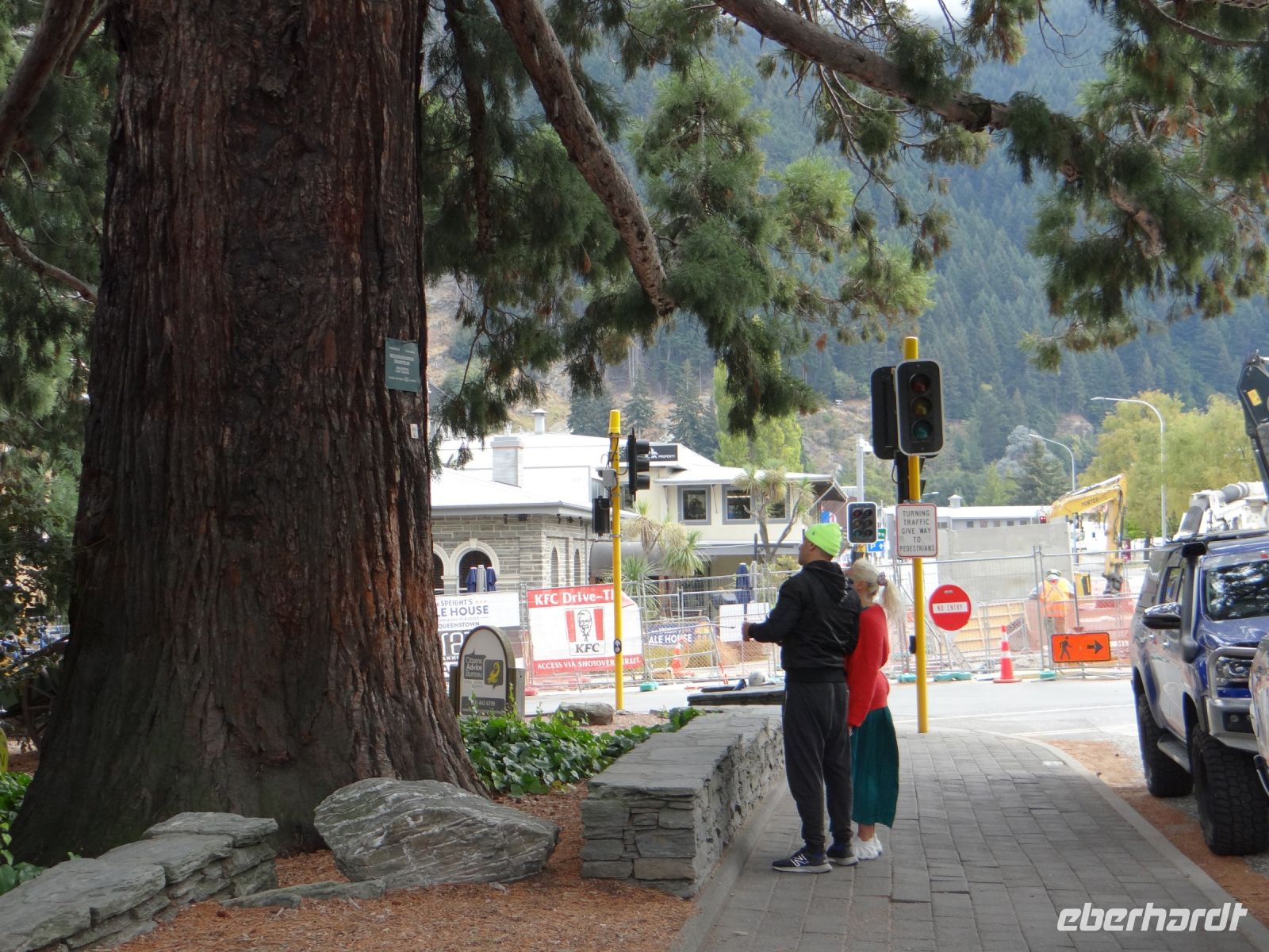 Queenstown, so eindrucksvoll müssen die Kauribäume auch gewesen sein.