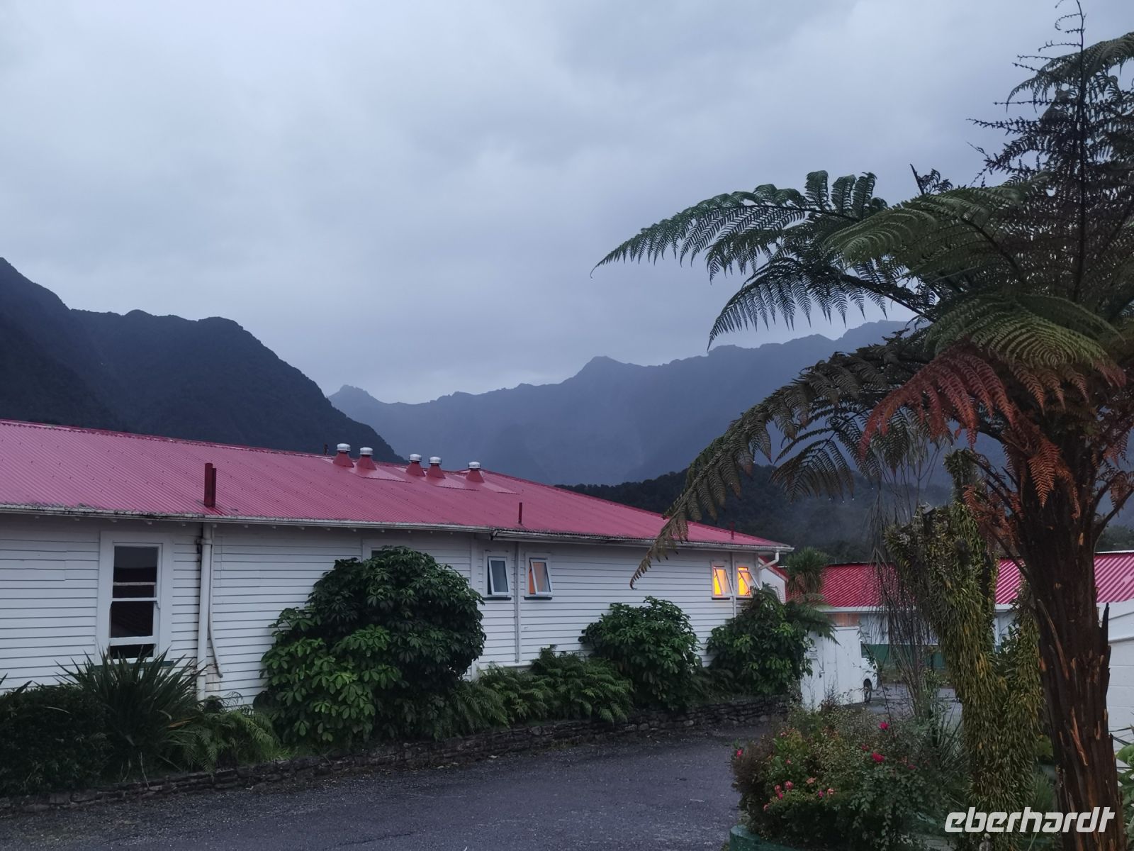 Fox, auch Regenstimmung kann schön sein.