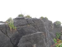 Pancake Rocks, so sehen sie aus.