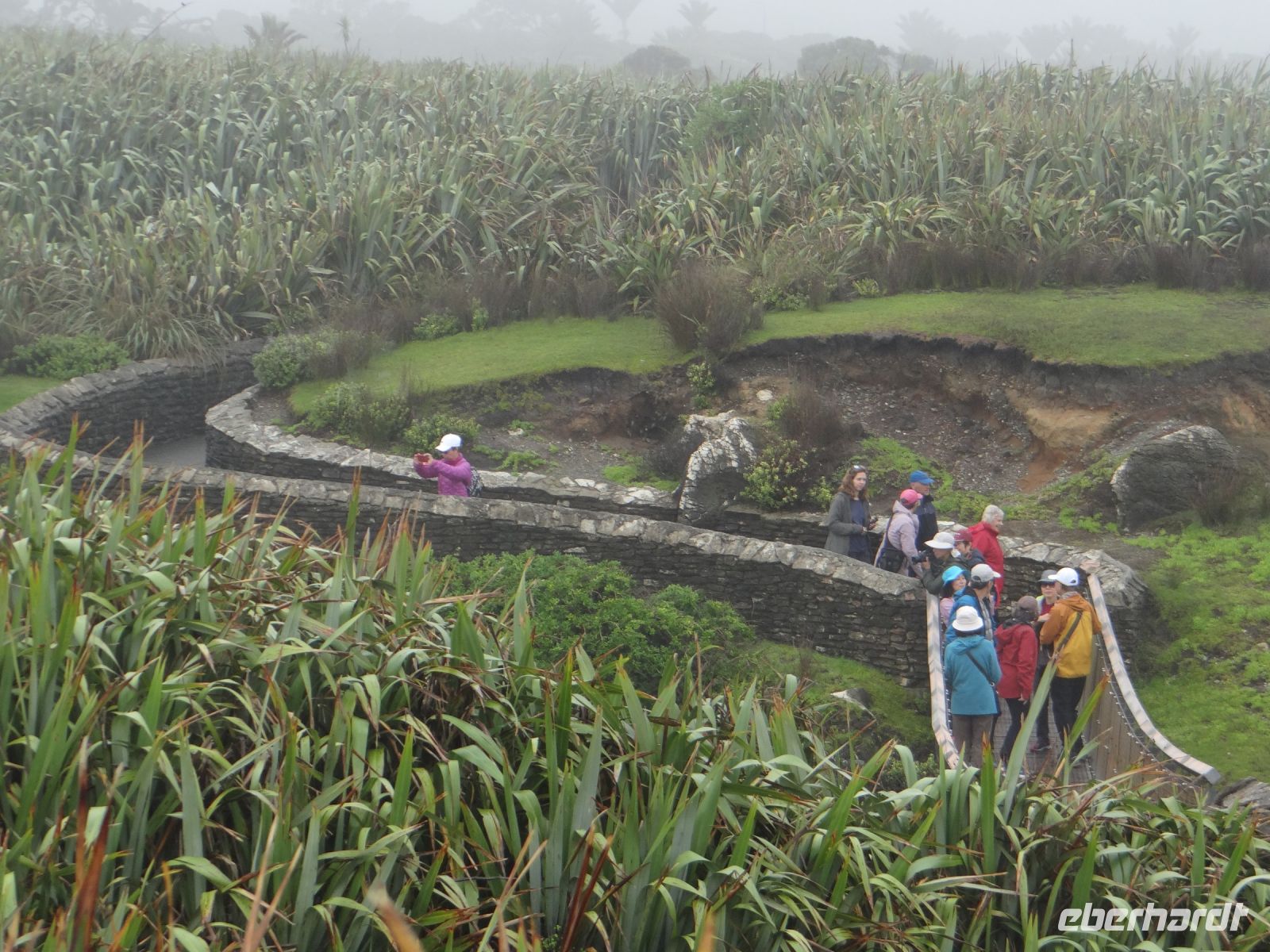 Pancake Rocks, ein malerischer Weg führt durch das Gelände.