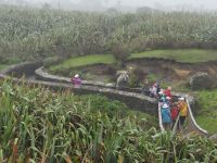 Pancake Rocks, ein malerischer Weg führt durch das Gelände.