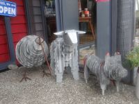 Die Protagonisten der Insel: Kiwi, Schaf und Hütehund