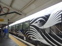 Greymouth, der TranzAlpine hat schicke Wagons.
