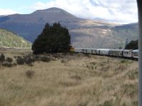 Einmal am Tag fährt der Zug in jede Richtung Christchurch - Greymouth.