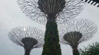 Große Rundreise Neuseeland: Gardens by the Bay in Singapur am Tage.