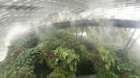 Große Rundreise Neuseeland: Die Cloud Forest Ausstellung in Singapur. 