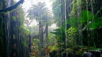 Große Rundreise Neuseeland: Die Cloud Forest Ausstellung in Singapur. 