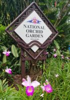 Große Rundreise Neuseeland: Botanischer Garten in Singapur. 