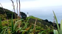 Große Rundreise Neuseeland: Cape Reinga.