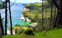 Große Rundreise Neuseeland: Cathedral Cove. 