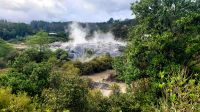 Große Rundreise Neuseeland: Te Puia Park. 