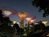 Super Trees. Singapur 