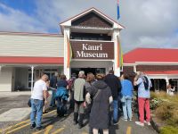 Alles über Kauri Bäume