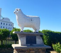 Große Rundreise Neuseeland: Denkmal für das Schaf als Wirtschaftsfaktor in Gore. 