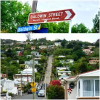 Große Rundreise Neuseeland: Steilste Straße der Welt in Dunedin. 