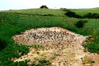 Große Rundreise Neuseeland: Bootstour Nahe der Otago Halbinsel. 