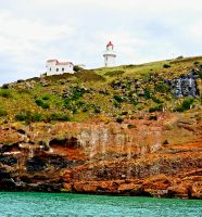 Große Rundreise Neuseeland: Bootstour Nahe der Otago Halbinsel. 