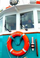 Große Rundreise Neuseeland: Bootstour Nahe der Otago Halbinsel. 