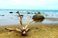Große Rundreise Neuseeland: Moeraki Boulders.
