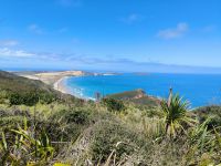 Am Cape Reinga 