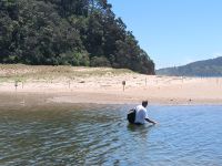 Ups, B. war zu schnell