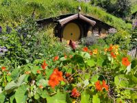 Hobbiton 