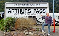 Große Neuseeland Rundreise: Mit dem Transalpinen Zug über den Arthur's Pass. 