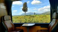 Große Neuseeland Rundreise: Panorama Blick aus dem Transalpinen Zug bei Moana.