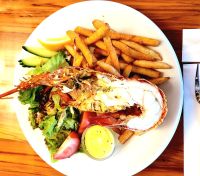 Große Neuseeland Rundreise: Ein halber Hummer, quasi vor der Tür frisch gefangen. 