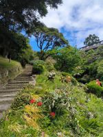 Botanischer Garten Wellington 