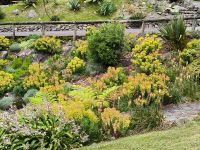 Botanischer Garten Wellington 