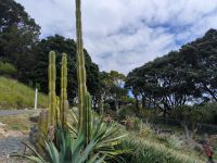 Botanischer Garten Wellington 