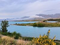 Lake Tekapo am Abend