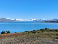 Lake Tekapo am Morgen