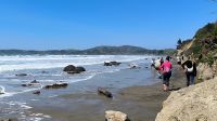 Moeraki Boulders