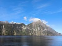 Milford Sound am Ausgang zum Tasmanischen Ozean