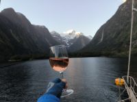 Rosé, gut gekühlt genießen