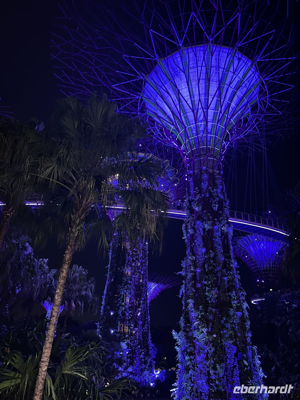 Gardens by the Bay Lichtershow