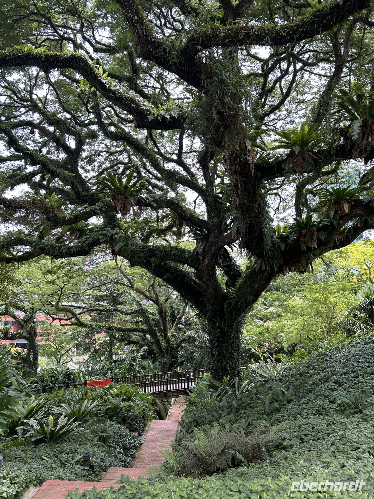 Fort Canning Park Singapur