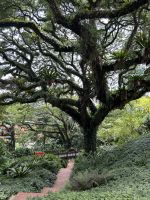 Fort Canning Park Singapur